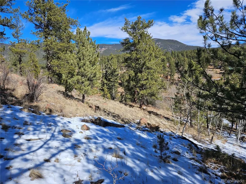 147 Ward Street Bailey, CO 80421