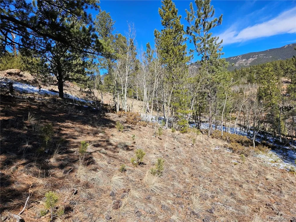 147 Ward Street Bailey, CO 80421