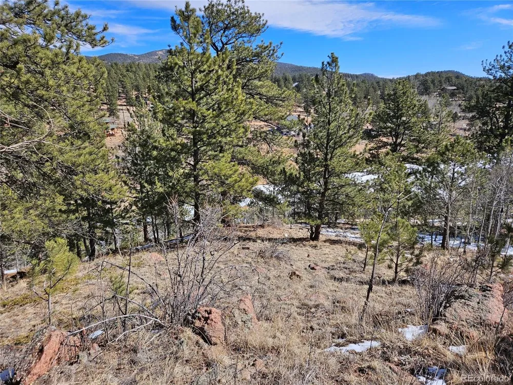 147 Ward Street Bailey, CO 80421