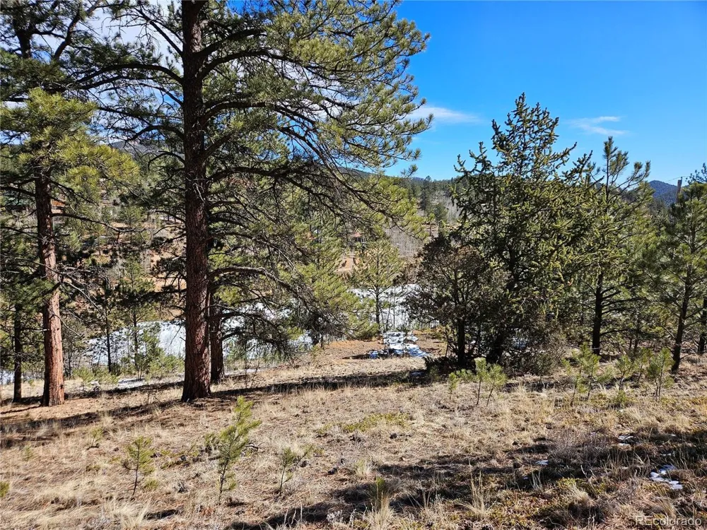 147 Ward Street Bailey, CO 80421