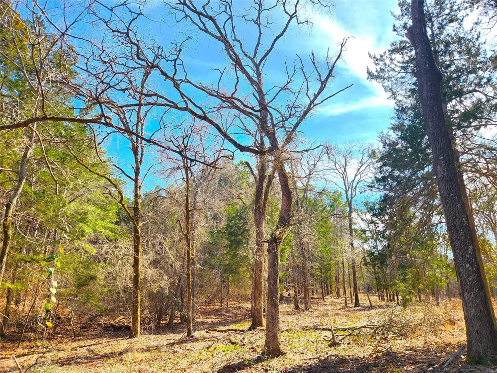 US-175 Larue, TX 75770