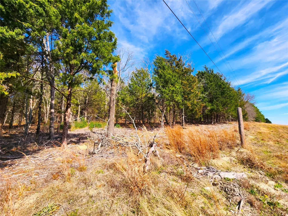 US-175 Larue, TX 75770