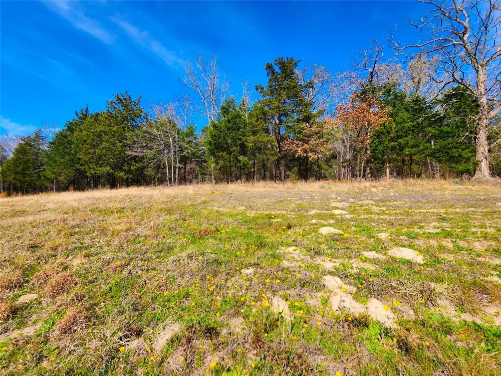 US-175 Larue, TX 75770