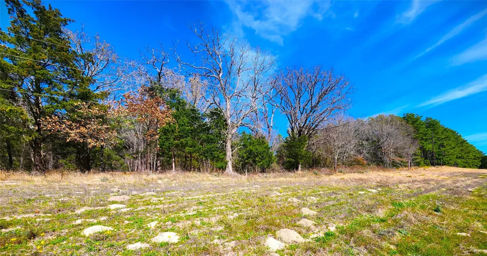 US-175 Larue, TX 75770