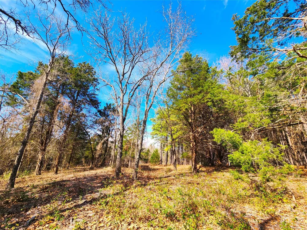 US-175 Larue, TX 75770
