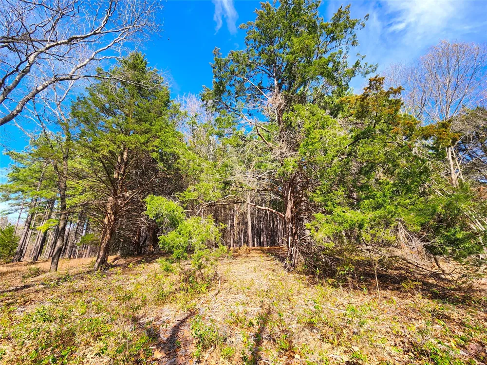 US-175 Larue, TX 75770