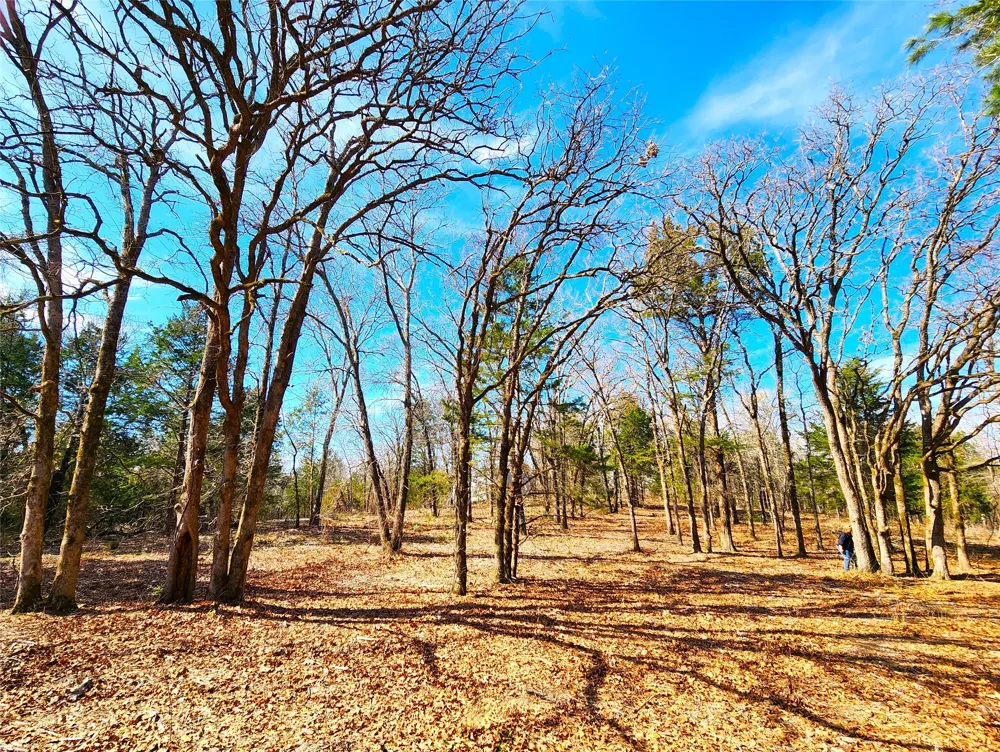 US-175 Larue, TX 75770