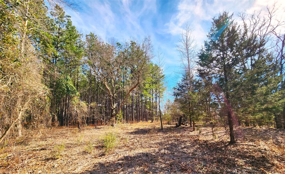 US-175 Larue, TX 75770