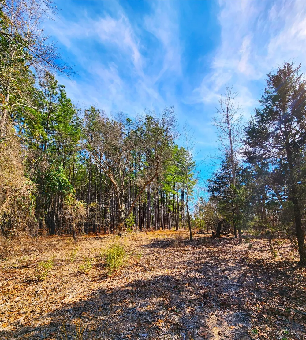 US-175 Larue, TX 75770