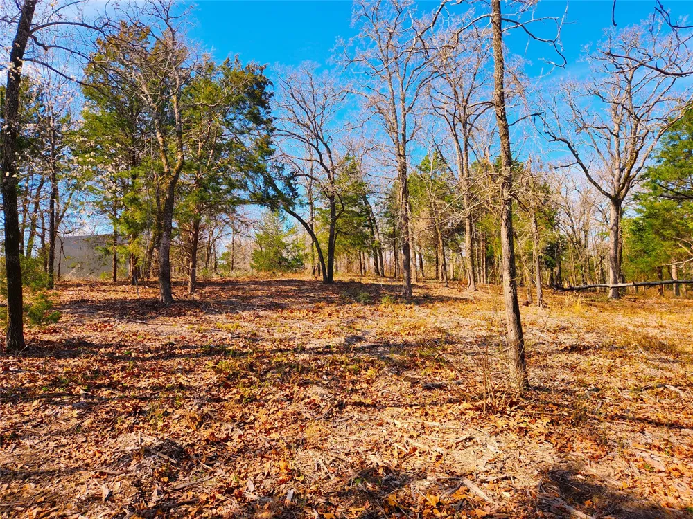 US-175 Larue, TX 75770