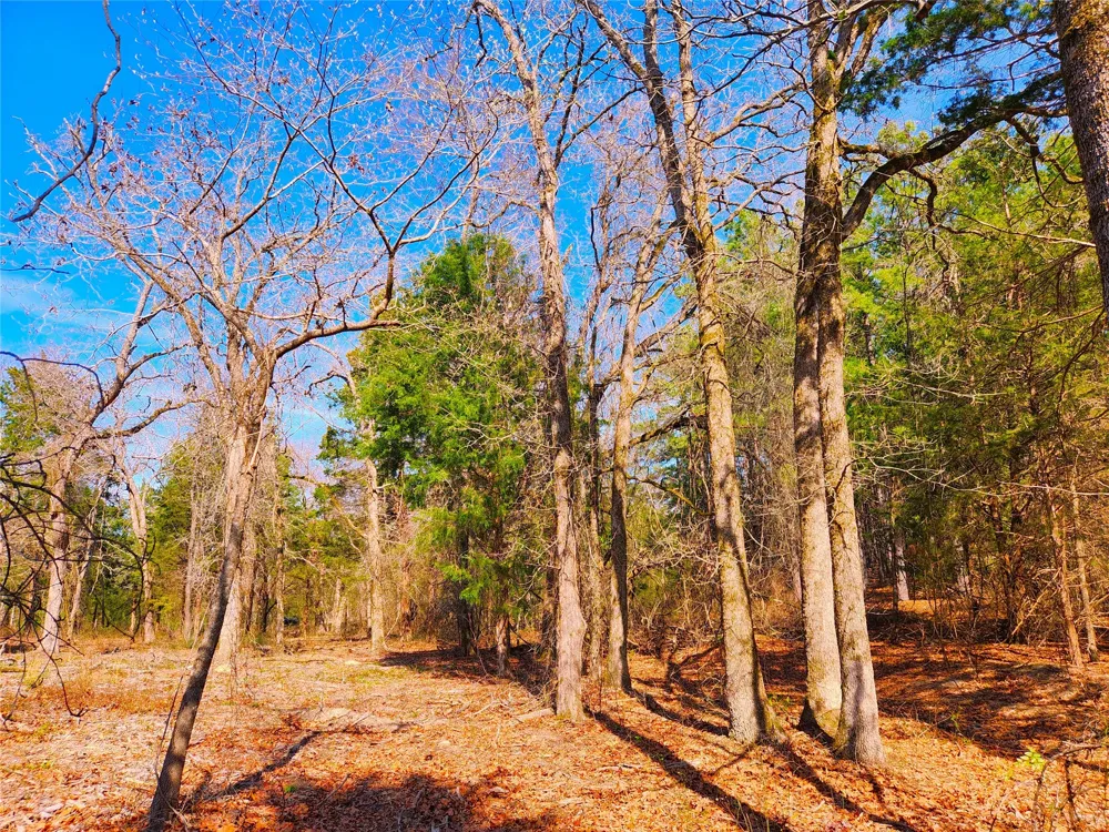 US-175 Larue, TX 75770