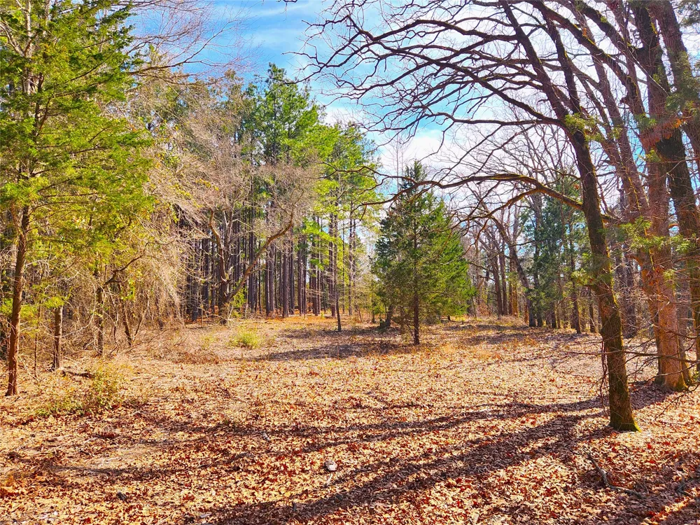US-175 Larue, TX 75770