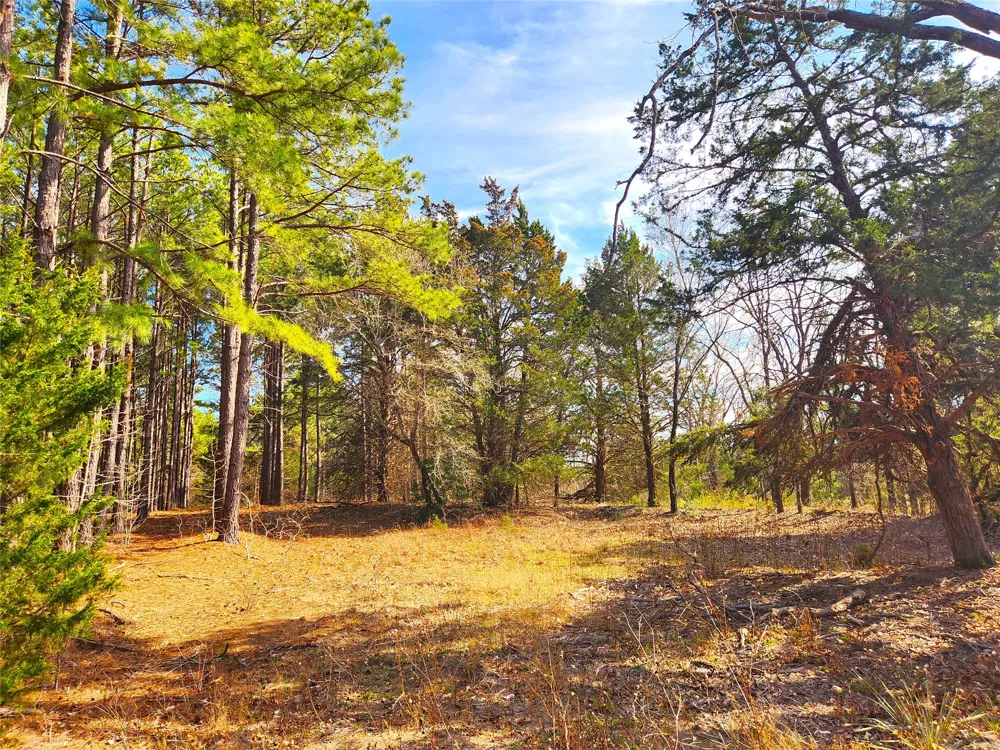 US-175 Larue, TX 75770