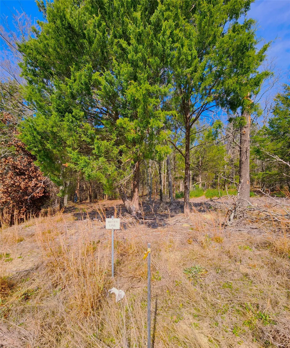 US-175 Larue, TX 75770