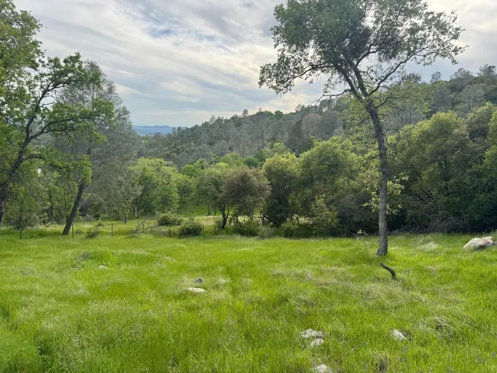 Cabezut Road Sonora, CA 95370