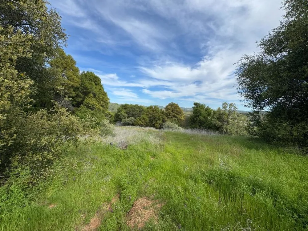 Cabezut Road Sonora, CA 95370