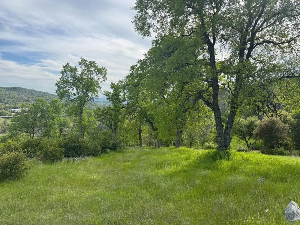 Cabezut Road Sonora, CA 95370