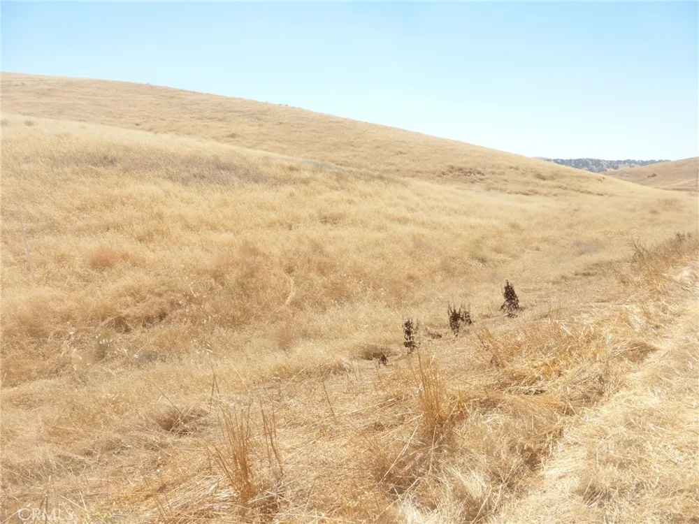 Douglas Rd. (Lots 41-43) San Miguel, CA 93451