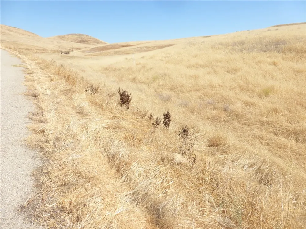 Douglas Rd. (Lots 41-43) San Miguel, CA 93451