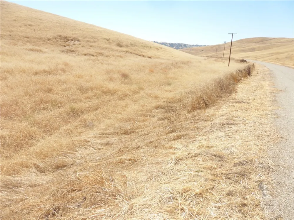 Douglas Rd. (Lots 41-43) San Miguel, CA 93451