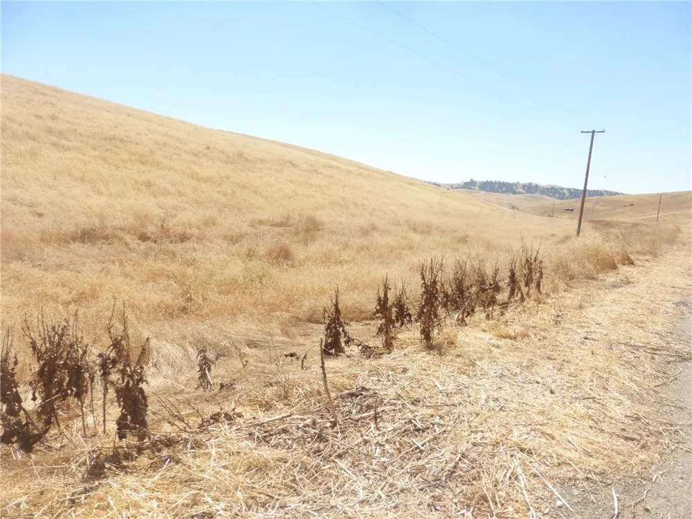 Douglas Rd. (Lots 41-43) San Miguel, CA 93451