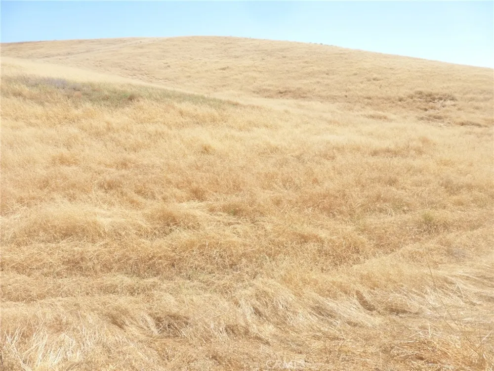 Douglas Rd. (Lots 41-43) San Miguel, CA 93451