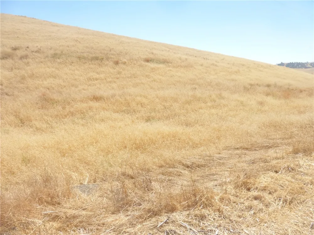 Douglas Rd. (Lots 41-43) San Miguel, CA 93451