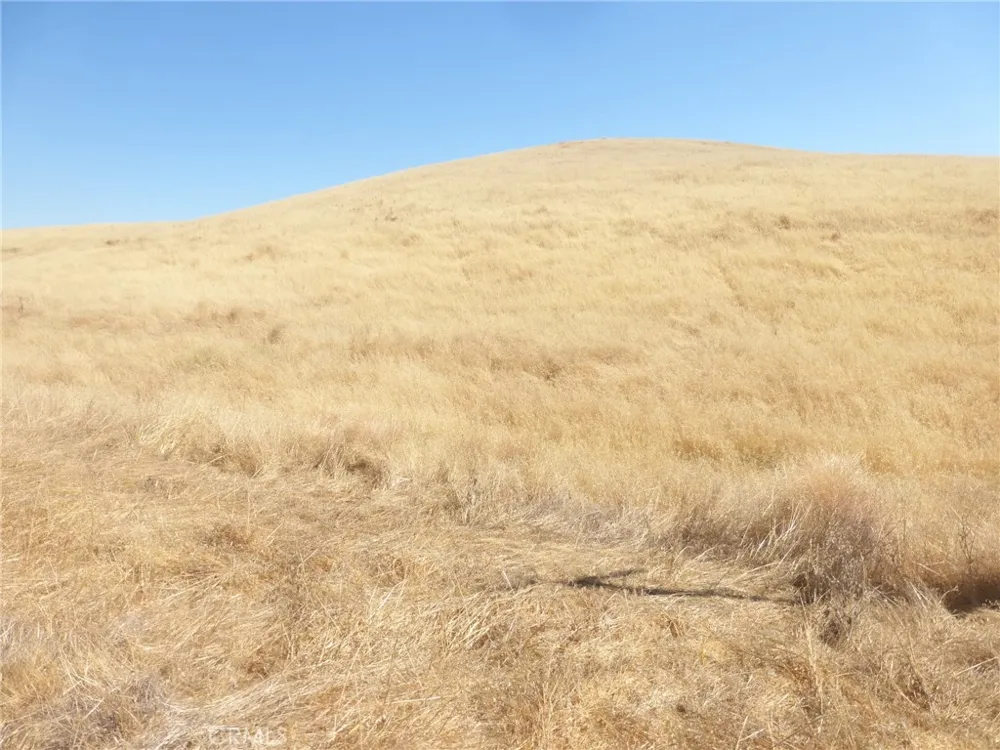 Douglas Rd. (Lots 41-43) San Miguel, CA 93451