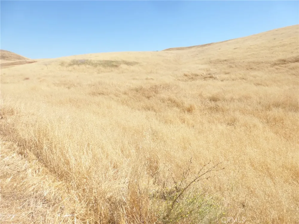 Douglas Rd. (Lots 41-43) San Miguel, CA 93451