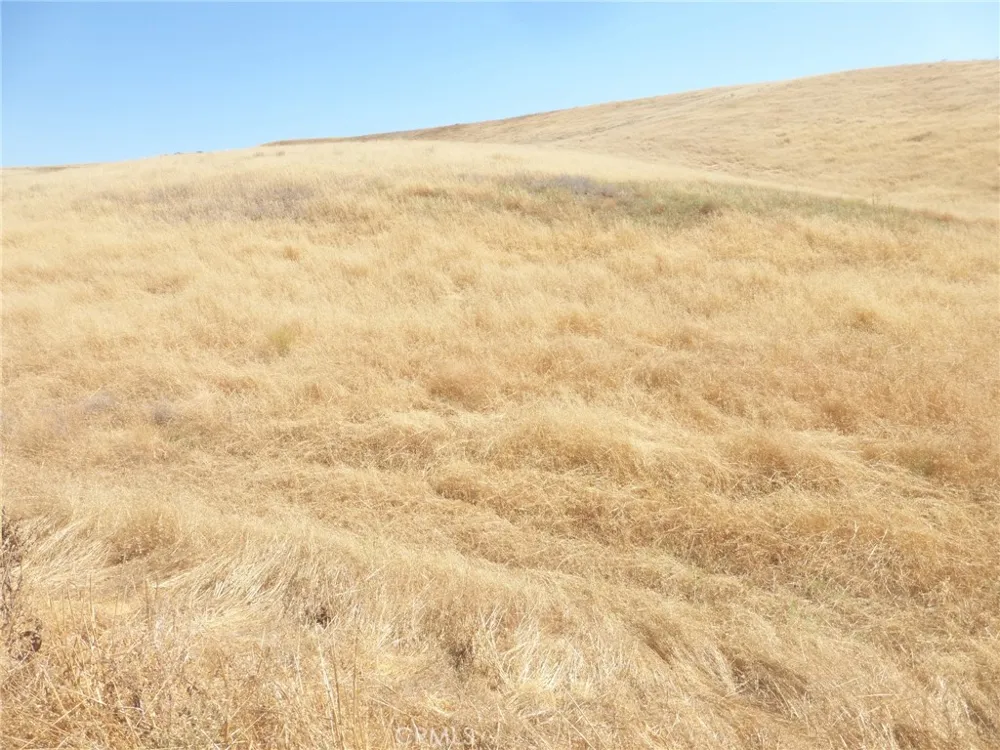 Douglas Rd. (Lots 41-43) San Miguel, CA 93451