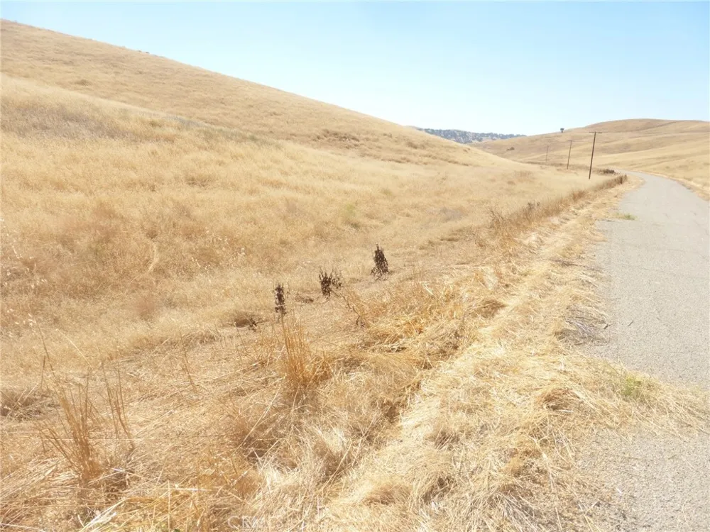 Douglas Rd. (Lots 41-43) San Miguel, CA 93451
