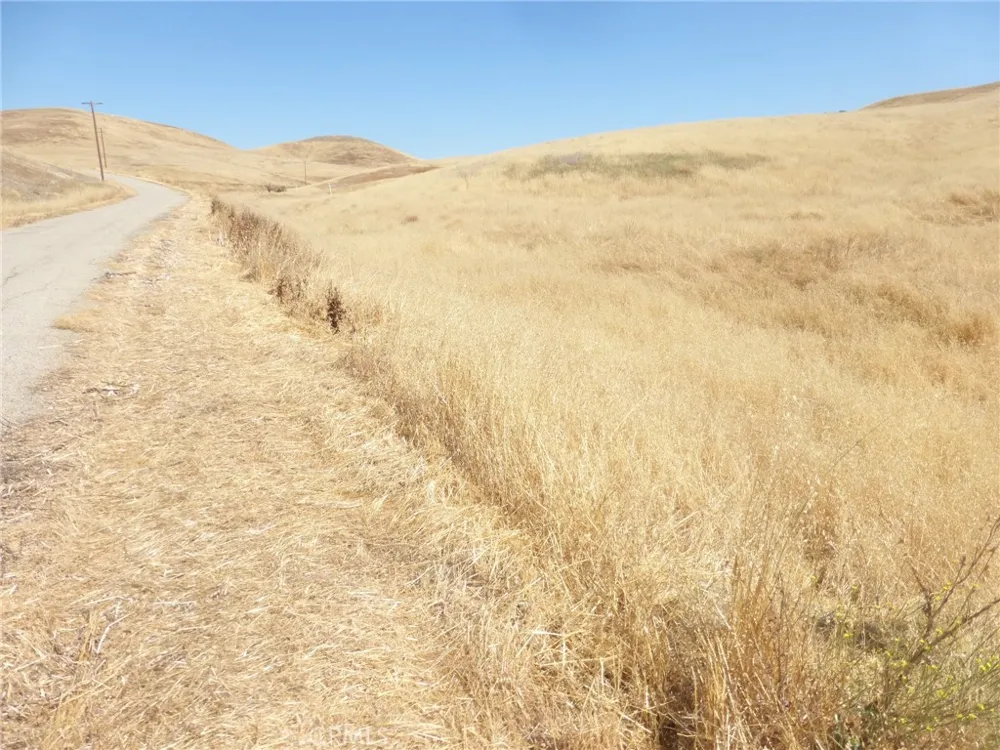 Douglas Rd. (Lots 41-43) San Miguel, CA 93451