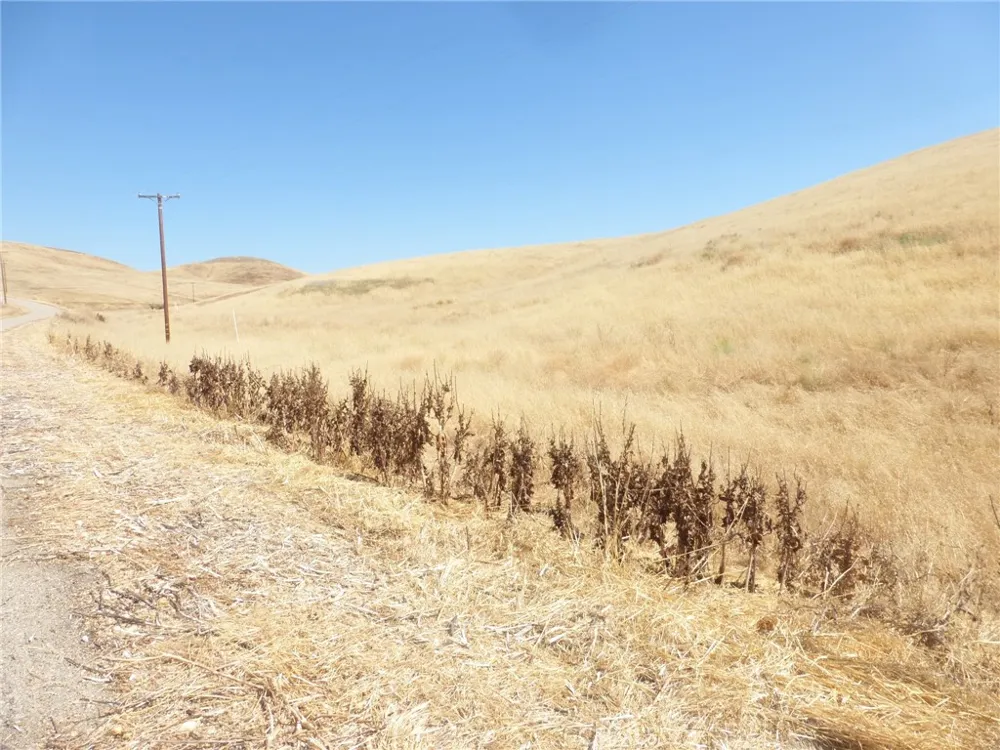 Douglas Rd. (Lots 41-43) San Miguel, CA 93451