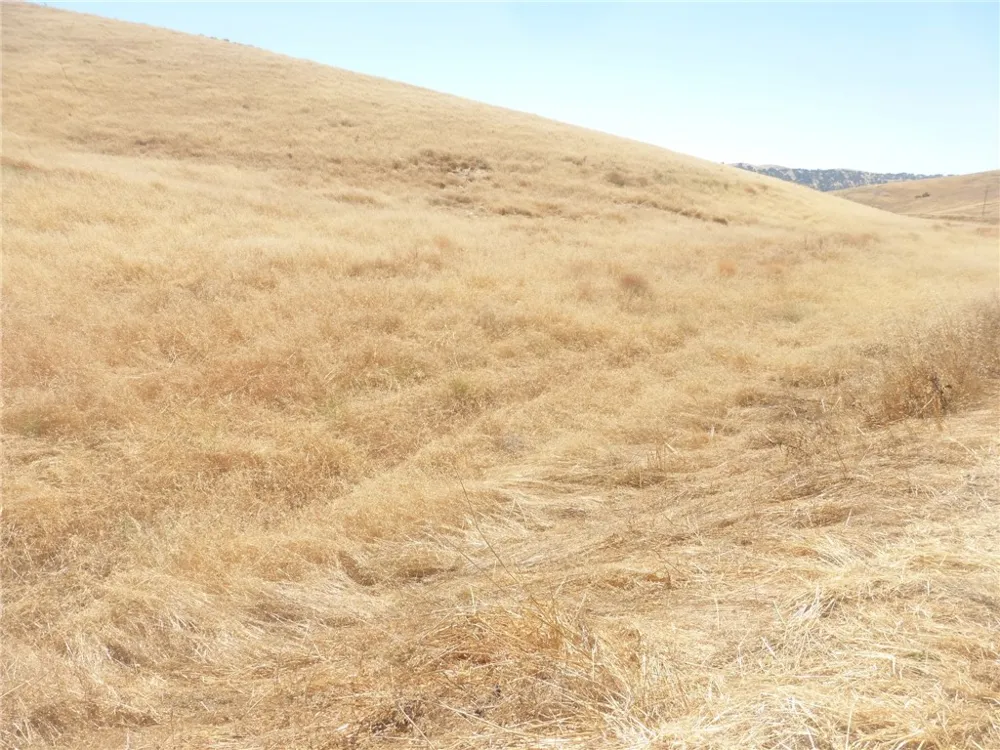 Douglas Rd. (Lots 41-43) San Miguel, CA 93451
