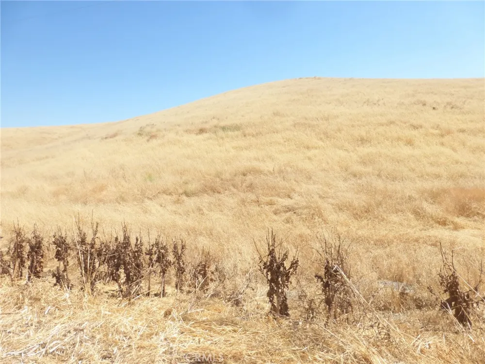 Douglas Rd. (Lots 41-43) San Miguel, CA 93451