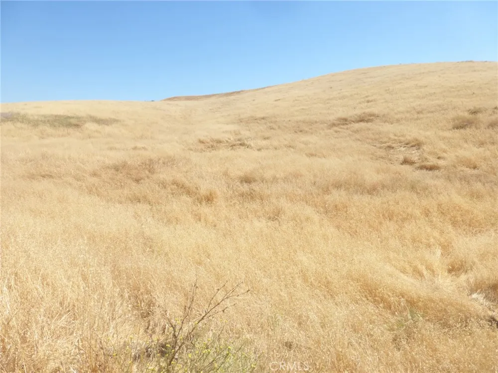 Douglas Rd. (Lots 41-43) San Miguel, CA 93451
