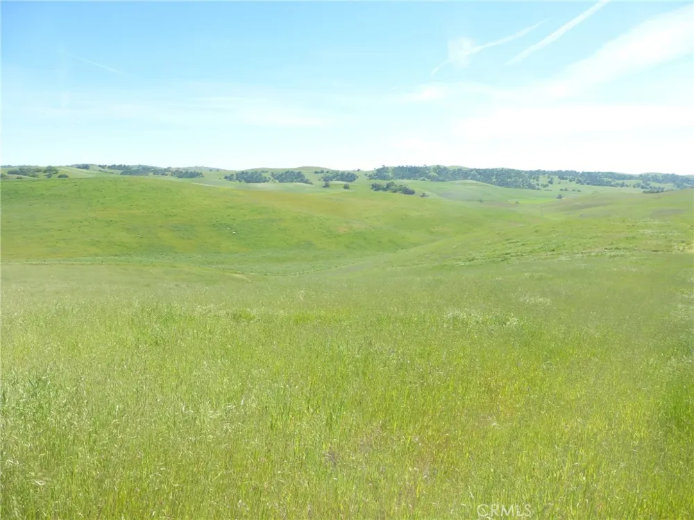 Douglas Rd. (Lots 41-43) San Miguel, CA 93451