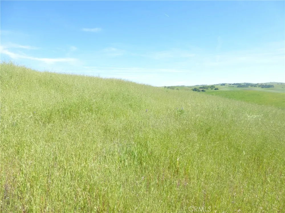 Douglas Rd. (Lots 41-43) San Miguel, CA 93451