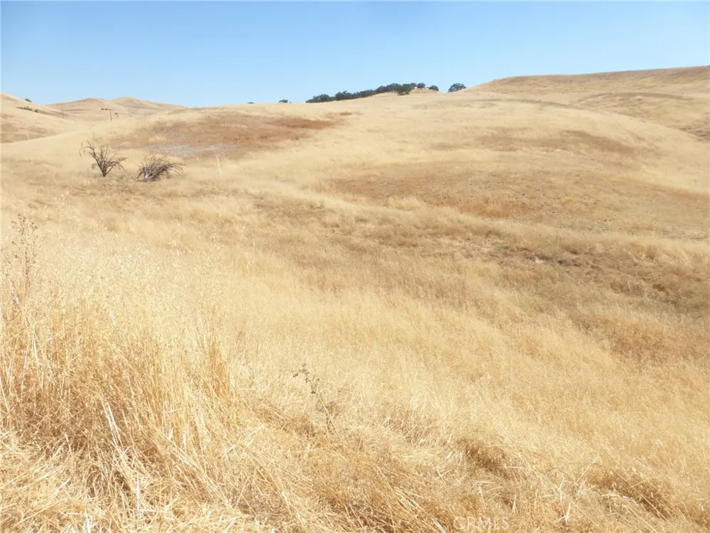Douglas Rd. (Lots 41-43) San Miguel, CA 93451
