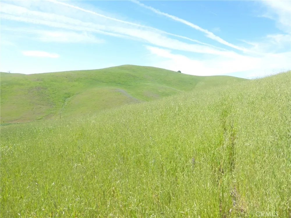 Douglas Rd. (Lots 41-43) San Miguel, CA 93451