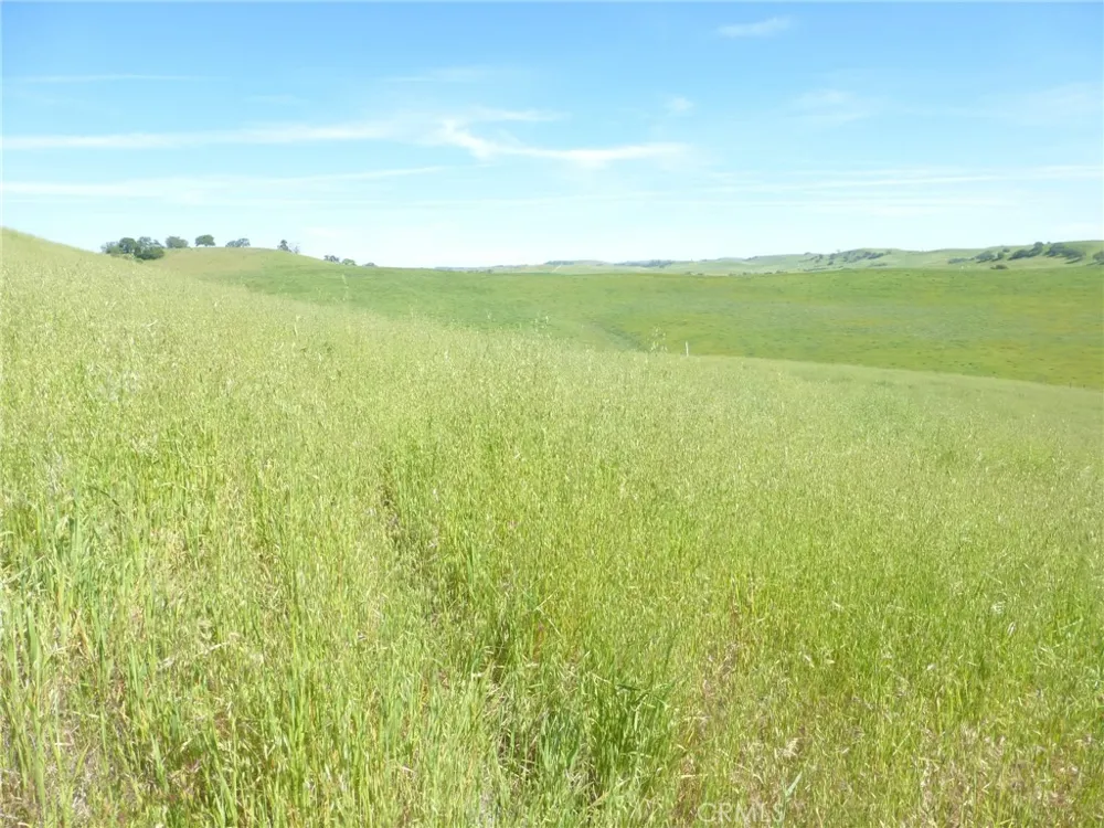 Douglas Rd. (Lots 41-43) San Miguel, CA 93451