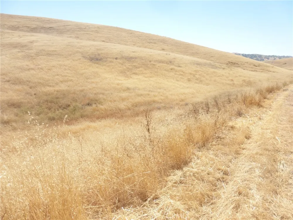Douglas Rd. (Lots 41-43) San Miguel, CA 93451