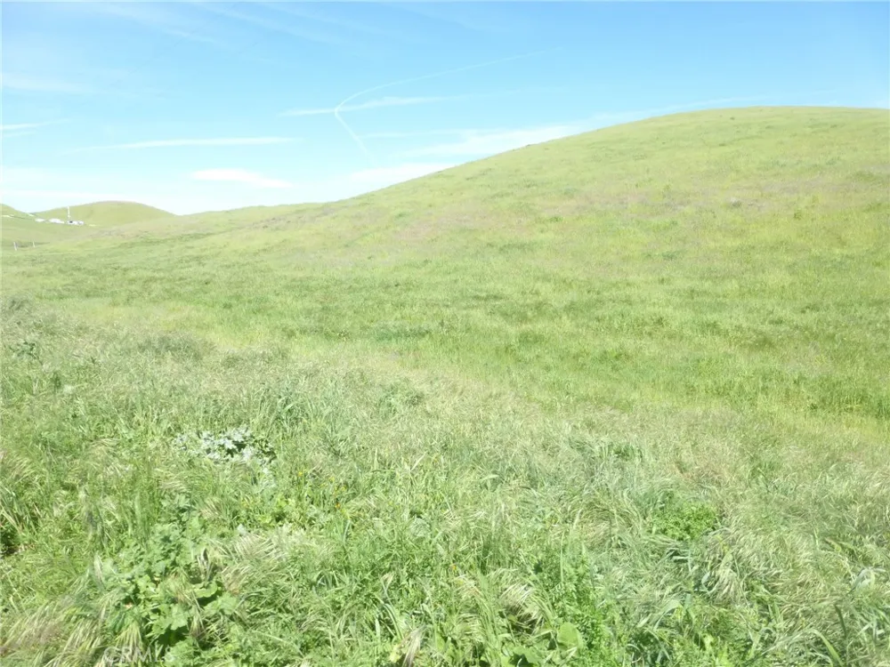 Douglas Rd. (Lots 41-43) San Miguel, CA 93451