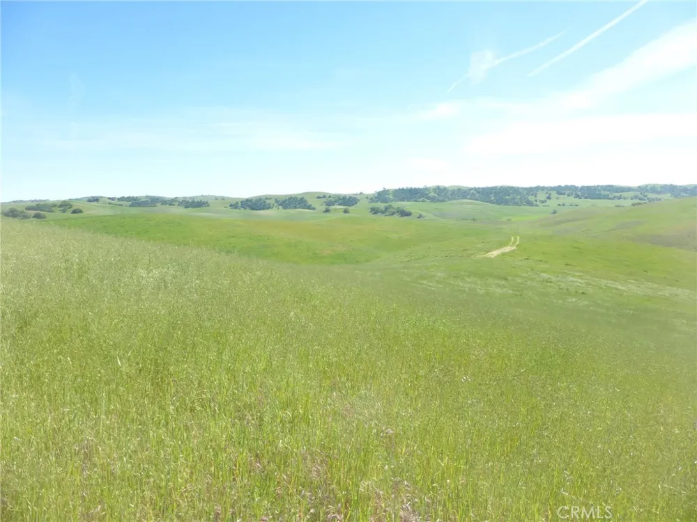 Douglas Rd. (Lots 41-43) San Miguel, CA 93451