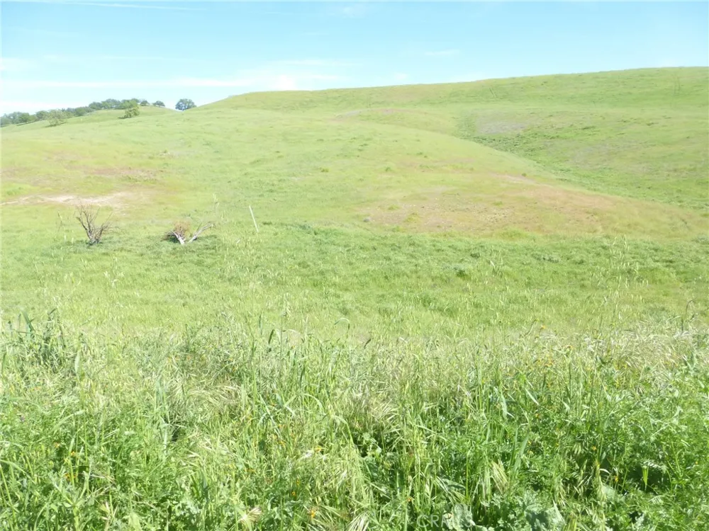 Douglas Rd. (Lots 41-43) San Miguel, CA 93451