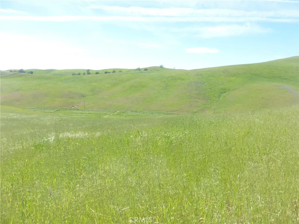 Douglas Rd. (Lots 41-43) San Miguel, CA 93451