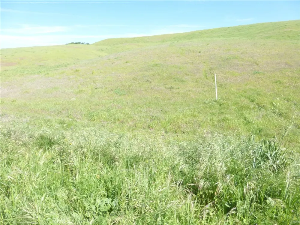 Douglas Rd. (Lots 41-43) San Miguel, CA 93451