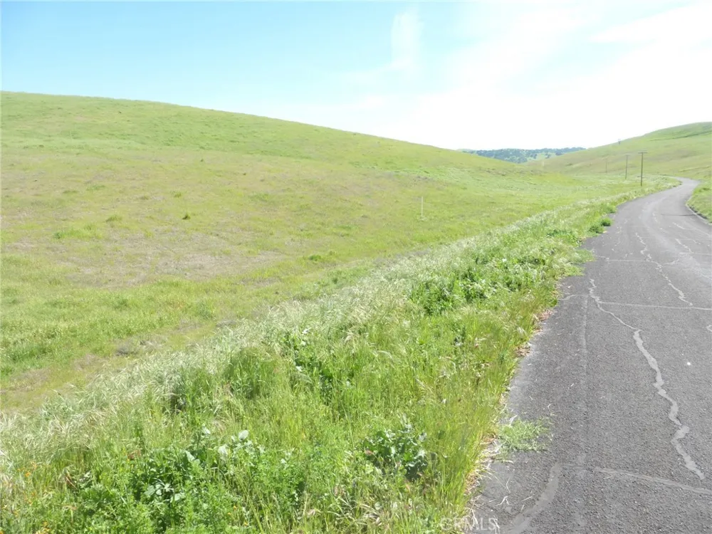 Douglas Rd. (Lots 41-43) San Miguel, CA 93451