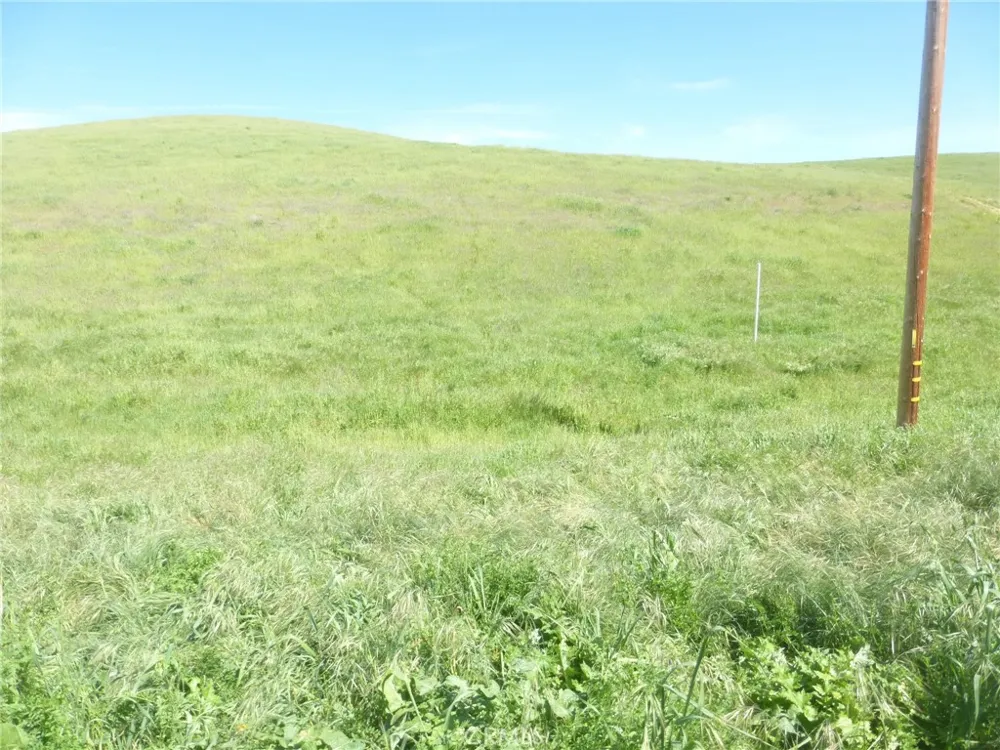 Douglas Rd. (Lots 41-43) San Miguel, CA 93451
