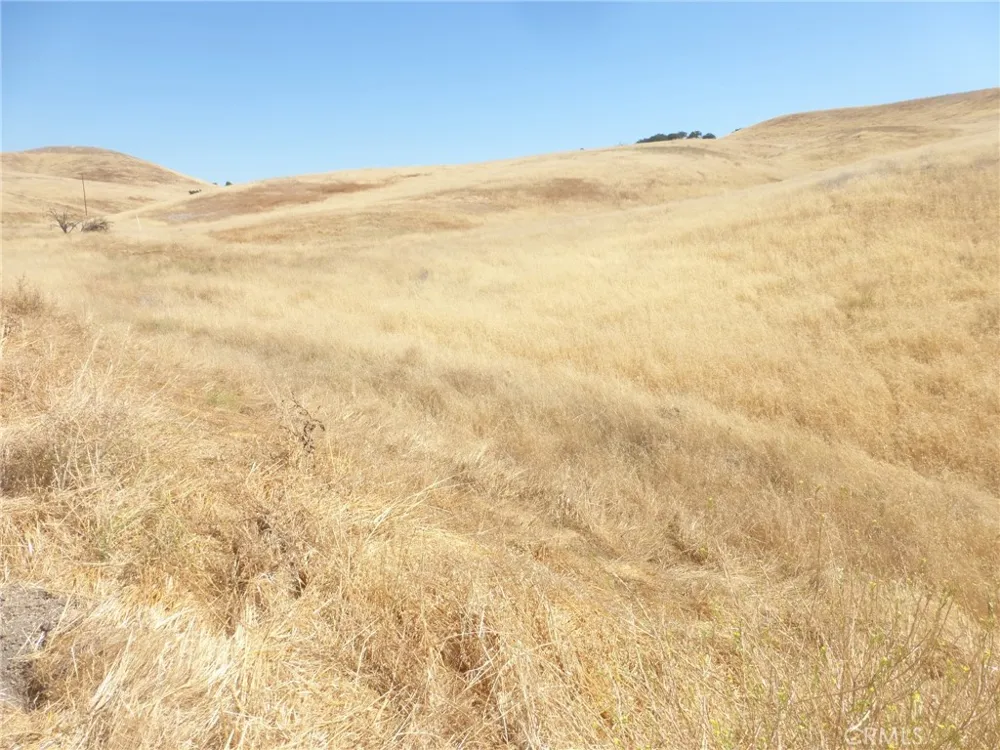 Douglas Rd. (Lots 41-43) San Miguel, CA 93451